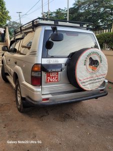 Top 4 Cheap Cars to Hire in Nairobi on a Long-Term Basis