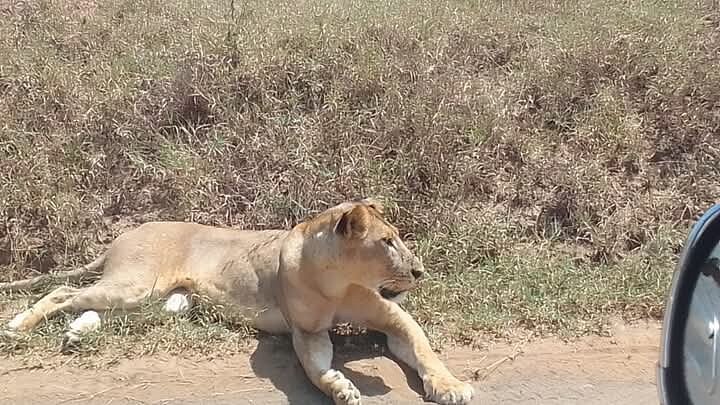 Lake Nakuru National Park
