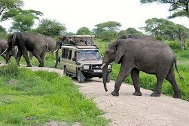 Tarangire National Park