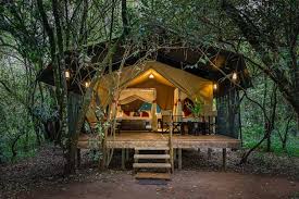 Mara Bush Camp