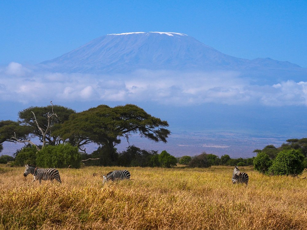 Amboseli National Park
