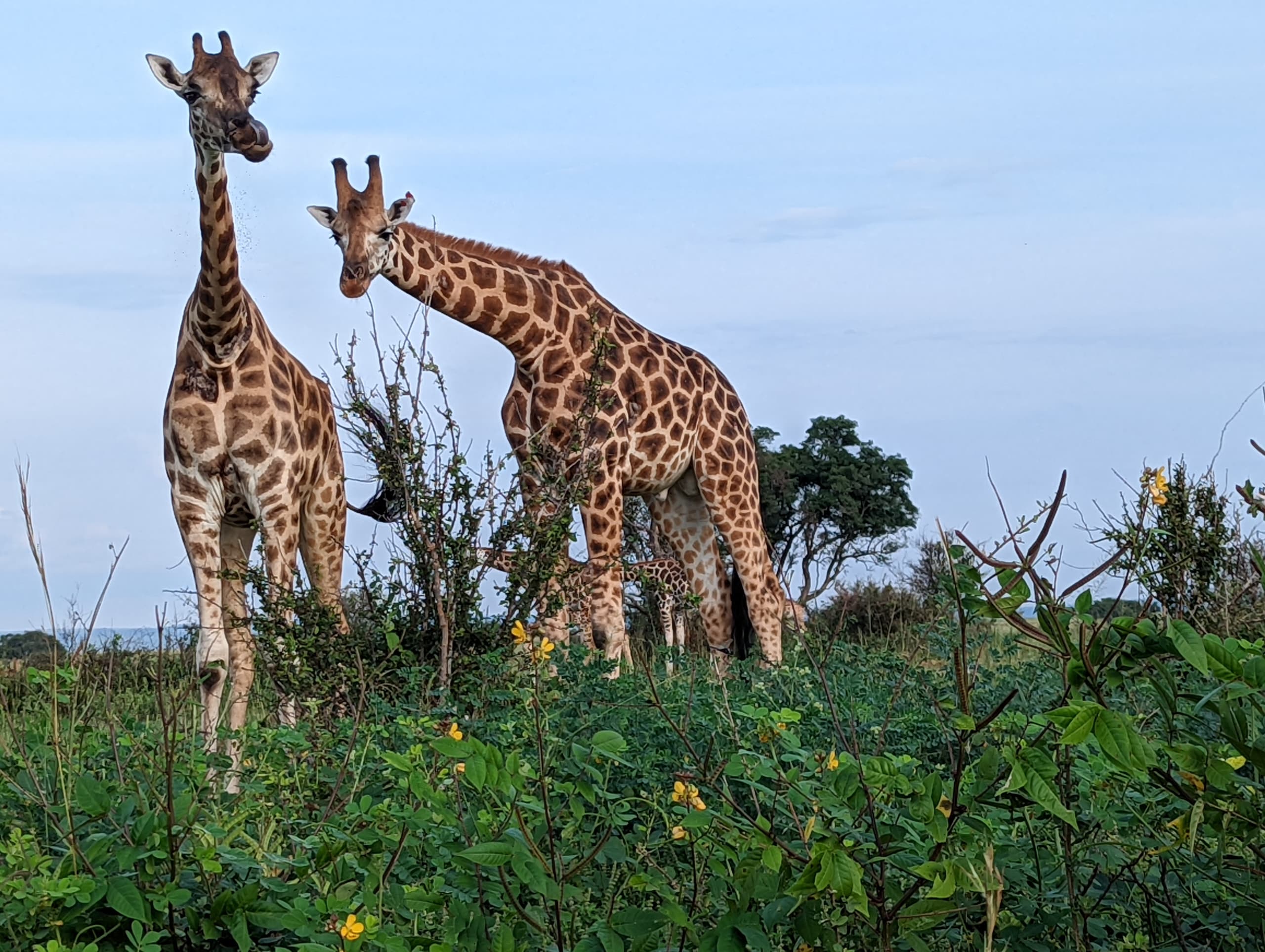 Things to Do on a Kenya expedition