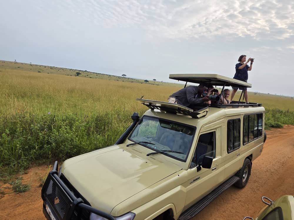 Self-drive vs. Chauffeur-driven safaris in Kenya & Tanzania