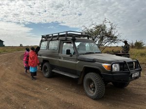 best car to use on self drive 