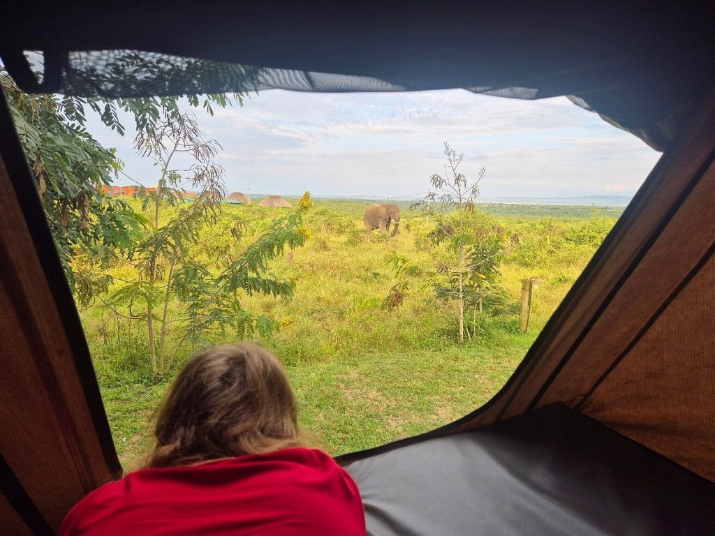 6. Maintain Vehicle Awareness and Confidence