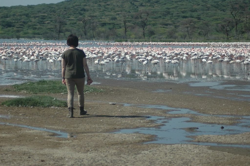 Lake Nakuru Bird Photography Safari