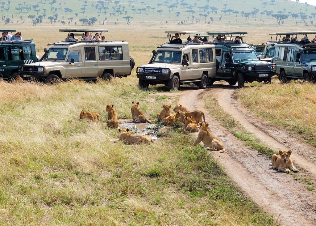 10-days-kenya-tanzania-classic-safari