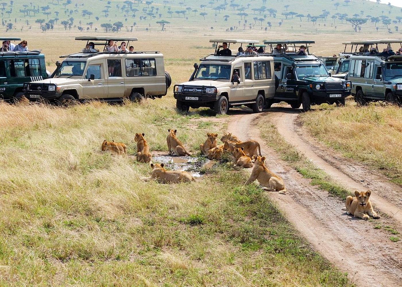 10-days-kenya-tanzania-classic-safari