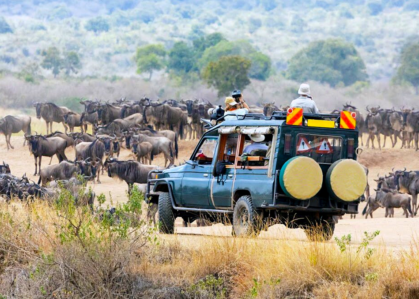5-day-masai-mara-lake-nakuru-lake-naivasha-budget-safari