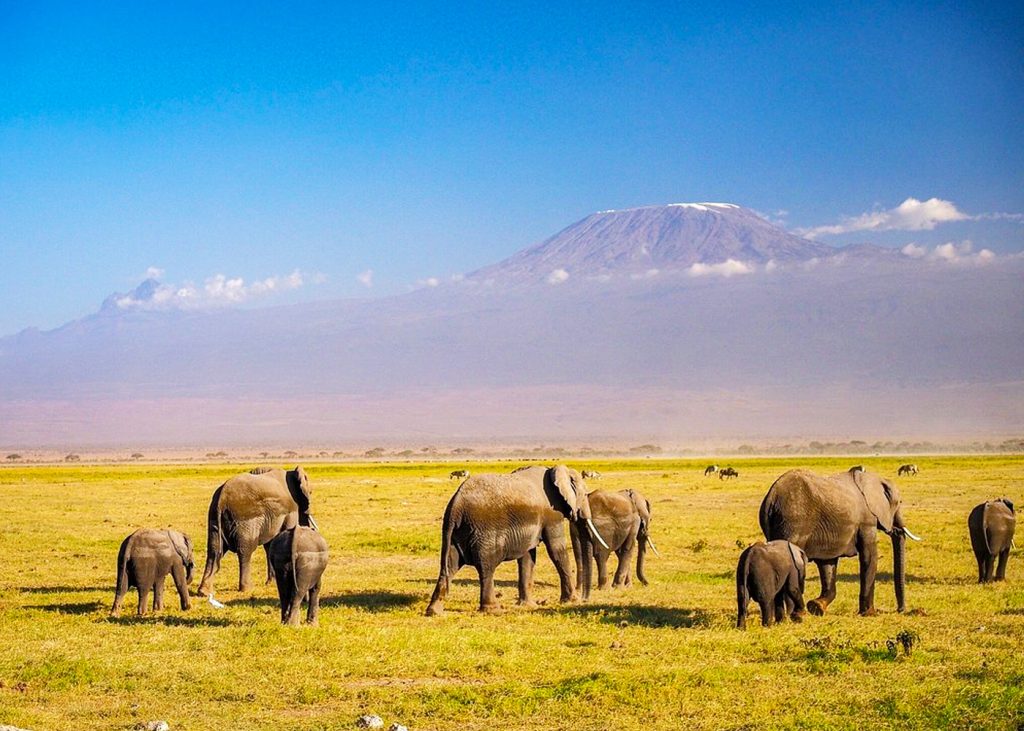 6-day-masai-mara-lake-nakuru-amboseli-safari