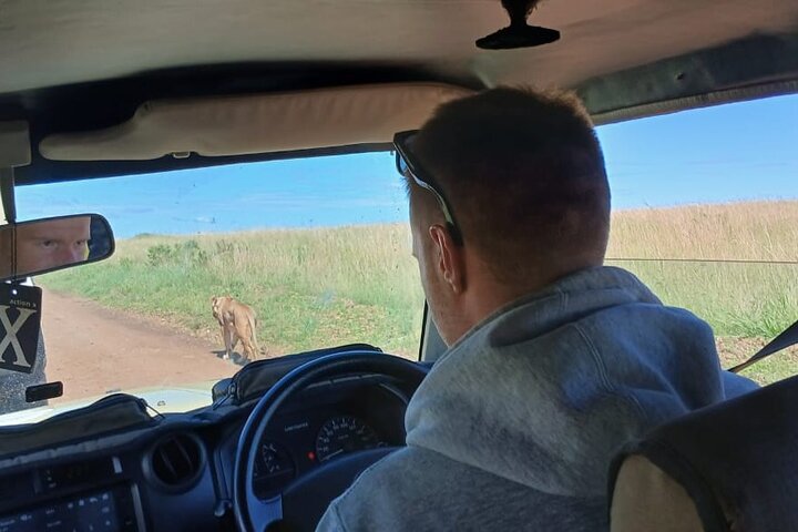 Last Minute Car Rental Trips 