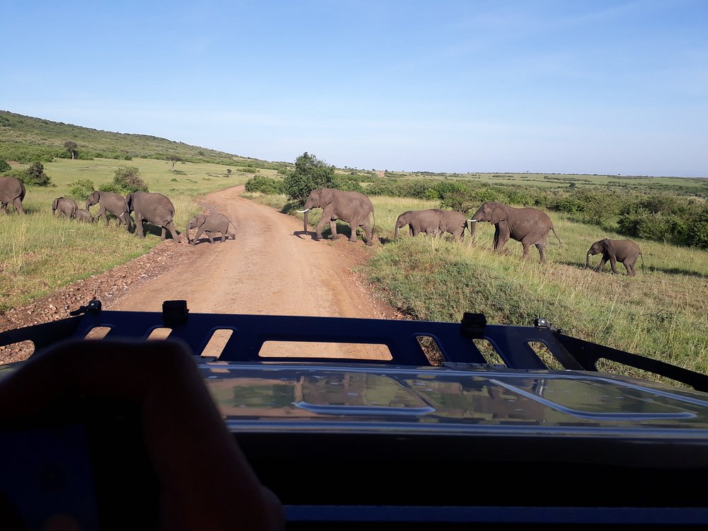 Last Minute Car Rental Trips in Kenya