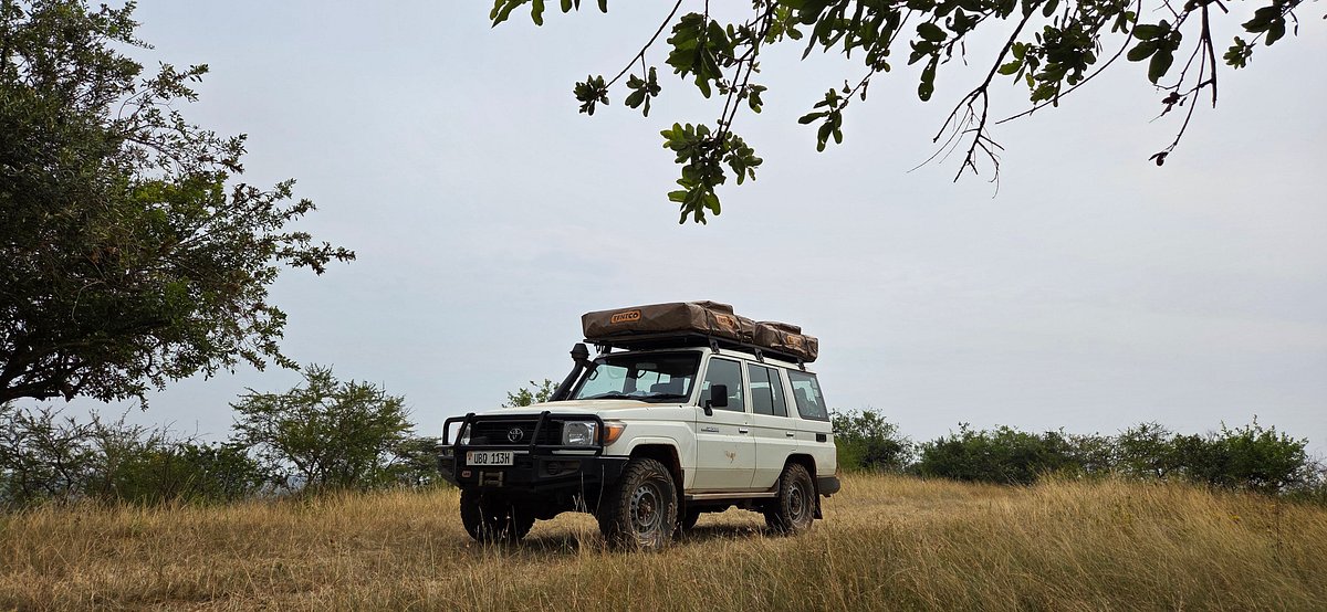 Safety Tips to Guide You While Driving on a Rough Road