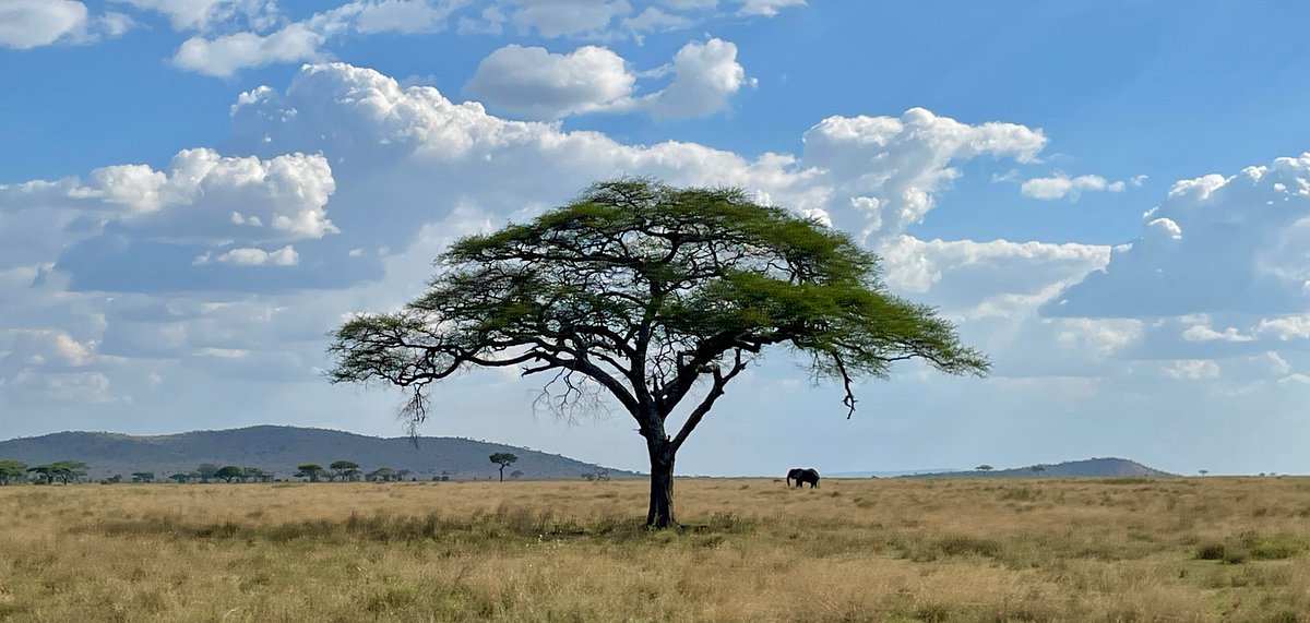 Kenya Off the Beaten Track: Explore the Country's Hidden Gems