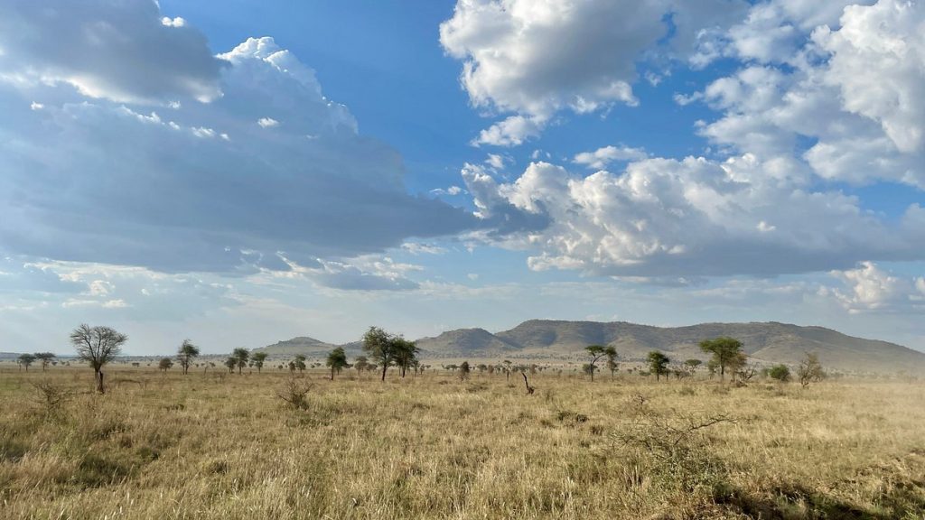Samburu and Buffalo Springs