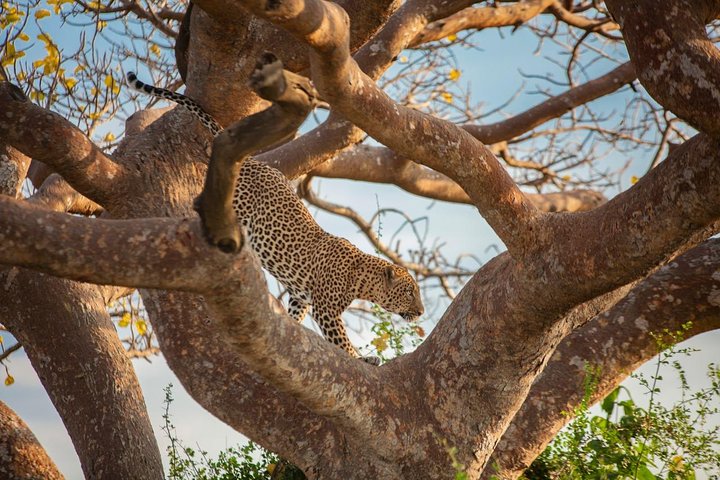Why Visiting Kenya Should Feature in Your Bucket List
