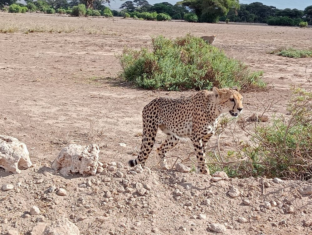 Why Your Bucket List Needs Kenya