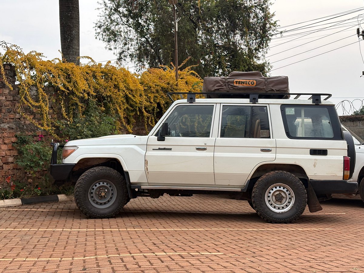 Kenya Self-Drive Safari: The Parks Where You Can self drive