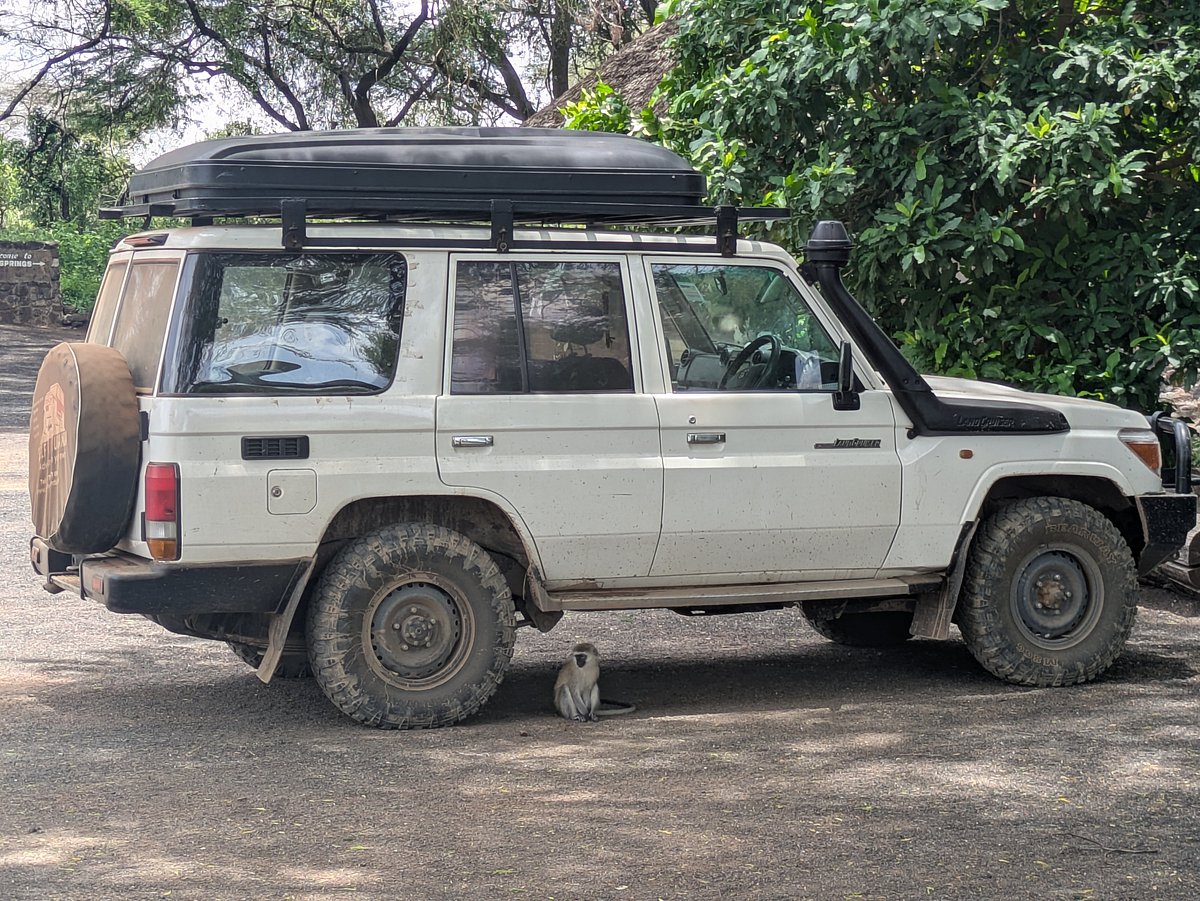 Tips for Driving a 4x4 Rental Car in Kenya's National Parks